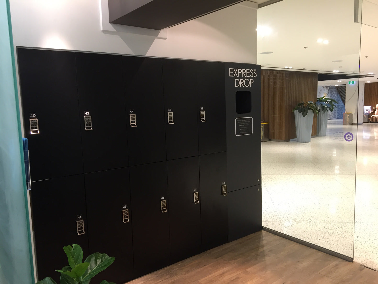 Multi-Purpose Dry Cleaning & Laundry Locker Locker Laundry Wise