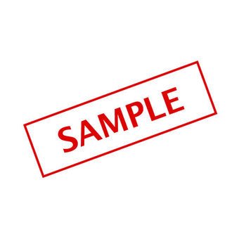 Customizable Sample Dry Cleaning and Laundry Bag Bags Laundry Wise